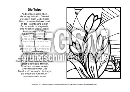 Die-Tulpe-Platen-ausmalen.pdf